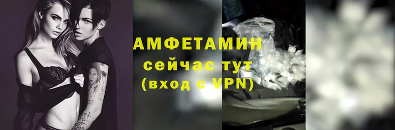 Amphetamine Premium  сколько стоит  Нововоронеж 