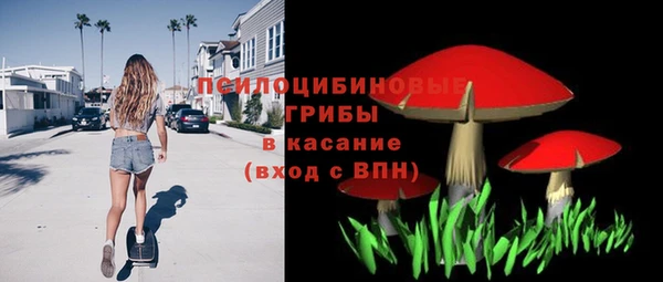 винт Бородино