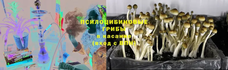 Галлюциногенные грибы MAGIC MUSHROOMS  Нововоронеж 